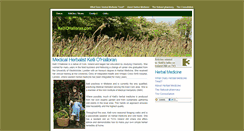 Desktop Screenshot of kelliohalloran.com