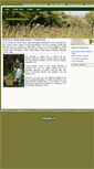 Mobile Screenshot of kelliohalloran.com
