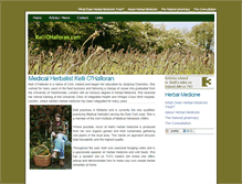 Tablet Screenshot of kelliohalloran.com